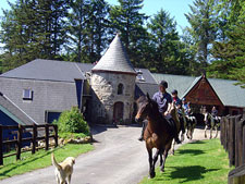 Ireland-Connemara/Galway-Castles & Monastic Ruins Getaway